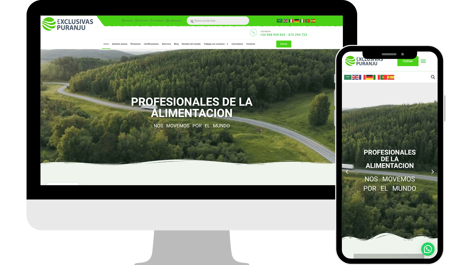 Diseño web exclusivas puranju